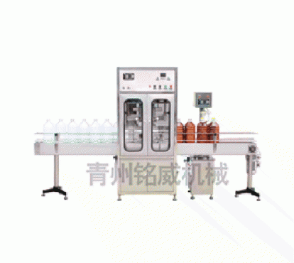 Z(B)DG-ZL全自動定量灌裝生產(chǎn)線